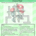 Parts Of A Flower Crossword FREEBIE Parts Of A Flower